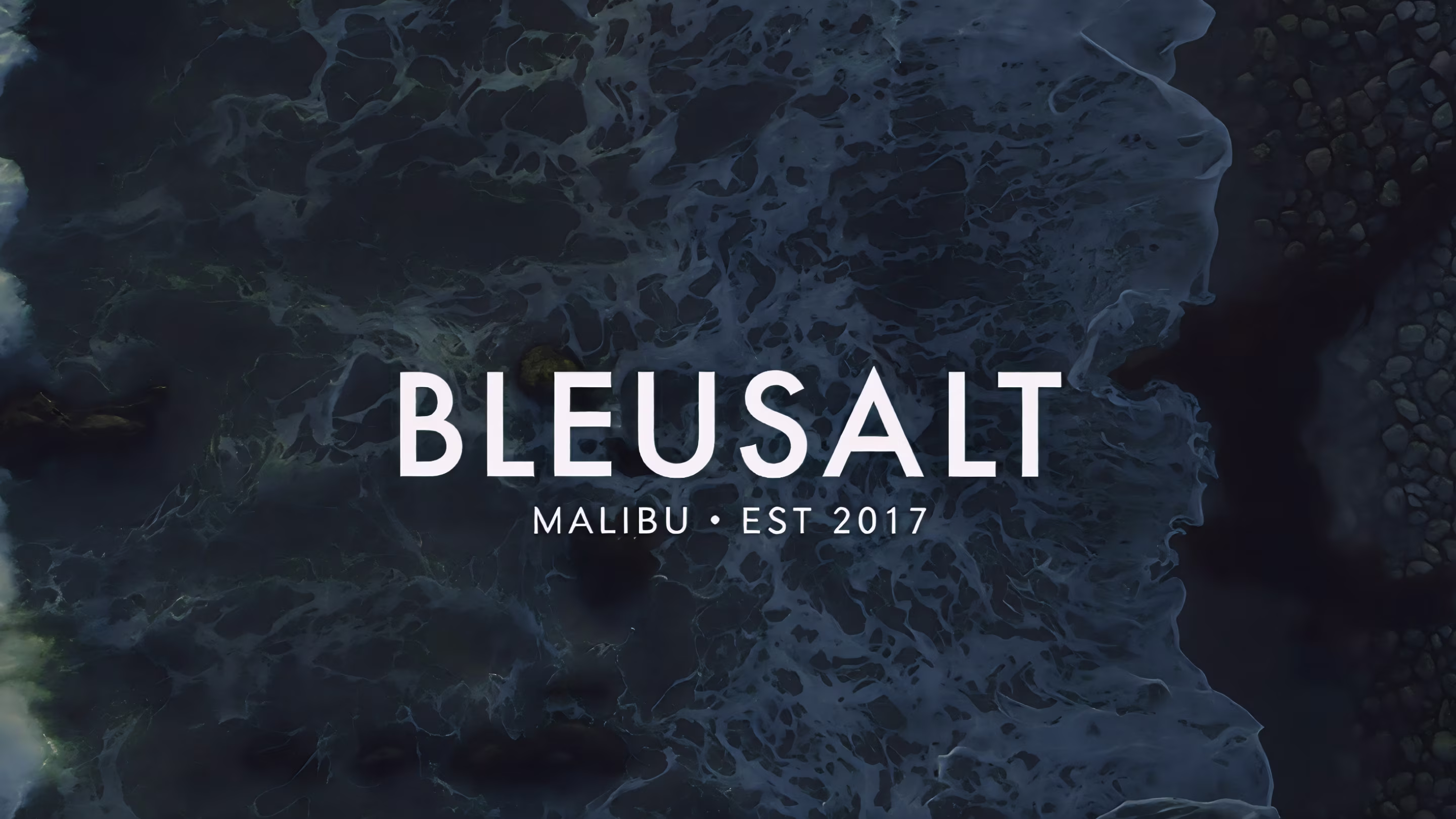 Bleusalt brand hero over Malibu coastline